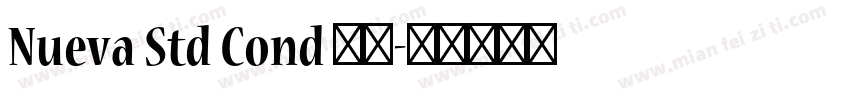 Nueva Std Cond 粗体字体转换